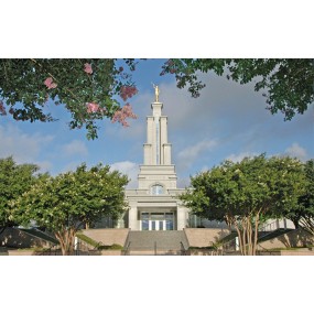 San Antonio Texas Temple Recommend Holder